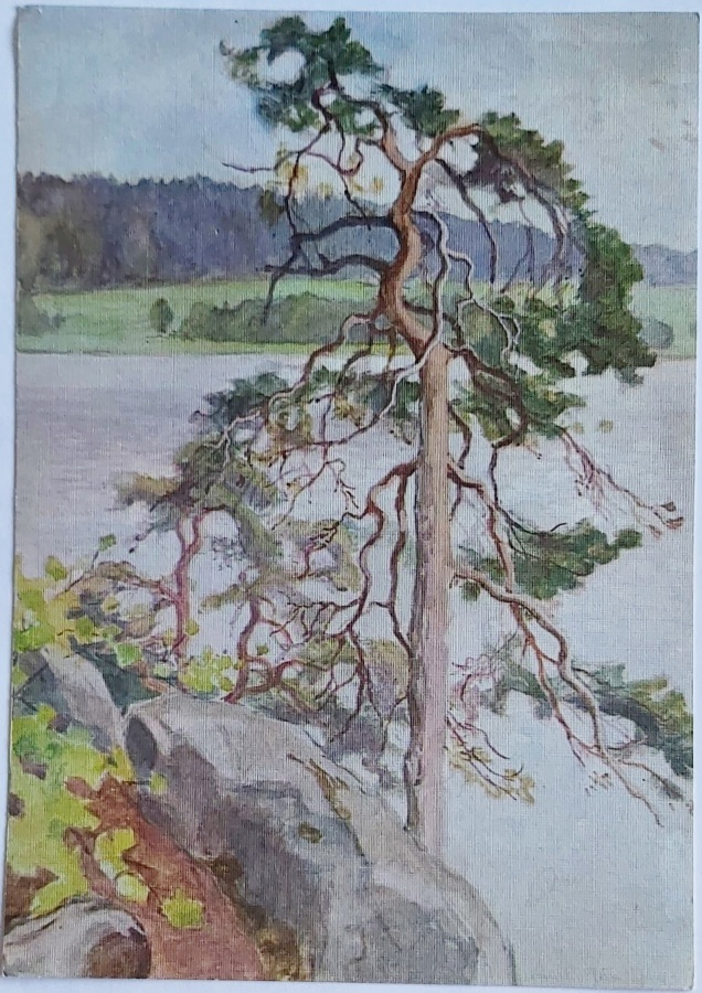 "LAURA JÄRNEFELT-12 MAISEMAA"-KULKEMATON POSTIKORTTI