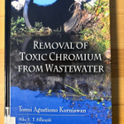 Removal of toxic chromium from wastewater- Kurniawan - pikkukuva 1