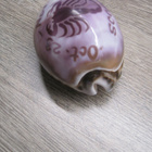 SCORPIO SIMPUKKA, HOROSKOOPPI SKORPIONI - pikkukuva 4