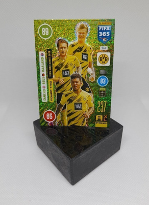 Haaland + Sancho + Reus, Dortmund 2020/2021 - Panini