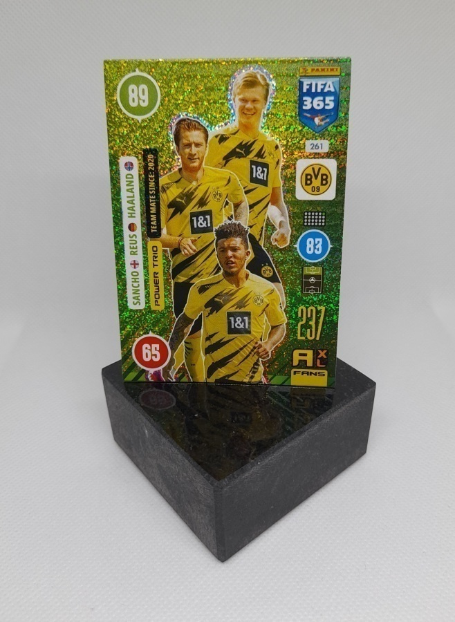 Haaland + Sancho + Reus, Dortmund 2020/2021 - Panini