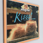 Kate Petty : Kissat - pikkukuva 1