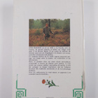 Yves Rocher : 100 plantes 1000 usages - pikkukuva 2