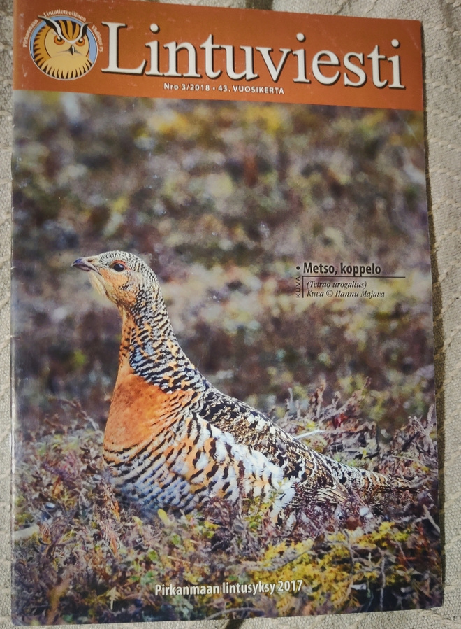 LINTUVIESTI 3/2018 - Pily yhdistyslehti