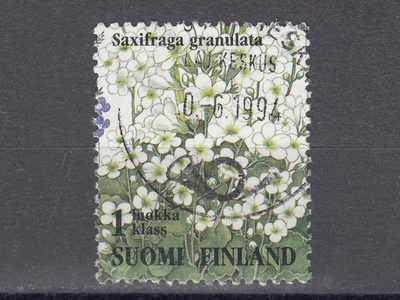 1994 Lape 1258 Ketokukkia - Papelorikko