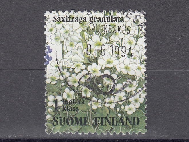 1994 Lape 1258 Ketokukkia - Papelorikko