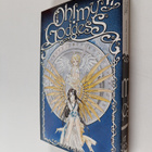 Kosuke Fujishima : Oh! My Goddess 17 - pikkukuva 1
