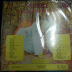 PEGGY SCOTT AND JO JO BENSON - SOULSHAKE EX+/M- LP - pikkukuva 2