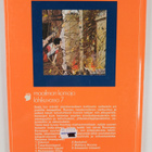 Patricia Vanags : Mahtava Rooma - pikkukuva 2