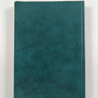 Rotary matrikkeli - matrikel 1979-1980 : piirit, distrikt... - pikkukuva 2
