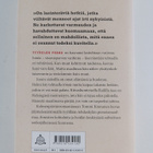 Tommi Kinnunen : Pintti : kolmenpäivänromaani - pikkukuva 2