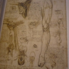 Leonardo da Vinci - Työpäiväkirjat - Uusi - pikkukuva 4