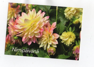 °°NIMIPÄIVÄNÄ°° -KORTTI / Kiiltävä