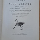 Vanhat tietokirjat. - pikkukuva 2