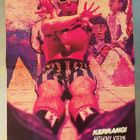 Red Hot Chili Peppers / Mudhoney : Posteri 90 -luvun alusta - pikkukuva 1