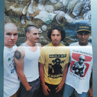 NOFX / Rage Against The Machine -posteri - pikkukuva 2