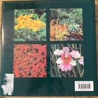 TROPICAL GARDEN PLANTS, William Warren - pikkukuva 2