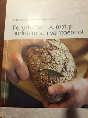 Anne Eronen : Perusturvan pulmat ja uudistamisen vaihtoehdot