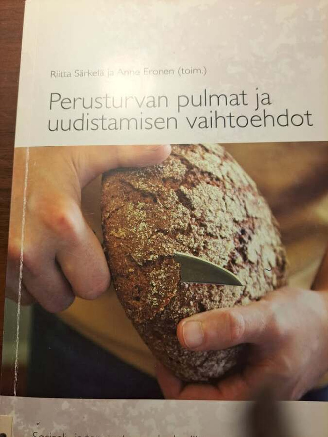 Anne Eronen : Perusturvan pulmat ja uudistamisen vaihtoehdot