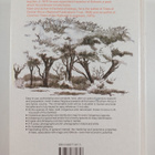Keith Coates Palgrave : Trees of Southern Africa - pikkukuva 2