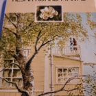 Laila Hietamies : kesän korkea taivas - pikkukuva 1