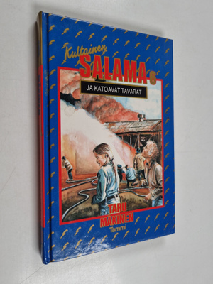 Taru Mäkinen : Kultainen Salama ja katoavat tavarat