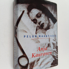 Anja Kauranen : Pelon maantiede - pikkukuva 1