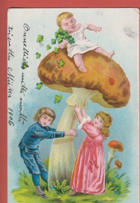 Lapset, sienet ja neliapilat - kulk v 1906 np