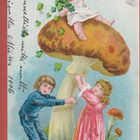 Lapset, sienet ja neliapilat - kulk v 1906 np - pikkukuva 1
