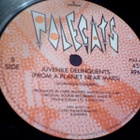 THE POLECATS :: MAKE A CIRCUIT WITH ME :: VINYYLI  7"  1992 - pikkukuva 4