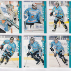 2012-13 Cardset Ser 2 Pelicans Team Set 12 korttia (277-288) - pikkukuva 1
