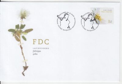 FDC  2006 kukka