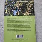 Oliiviöljy Mirja von Knorring - pikkukuva 2