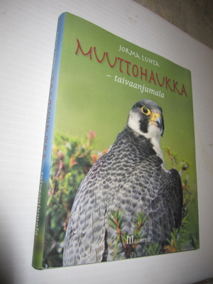 Jorma Luhta : Muuttohaukka : taivaanjumala ( hienokuntoinen