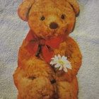 Muotoonleikattu Postikortti Teddykarhu - pikkukuva 4