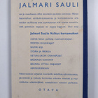 Jalmari Sauli : Ketunlukon oravapojat : seikkailuja talvi... - pikkukuva 2