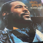 Marvin Gaye: What's Going On LP - pikkukuva 1