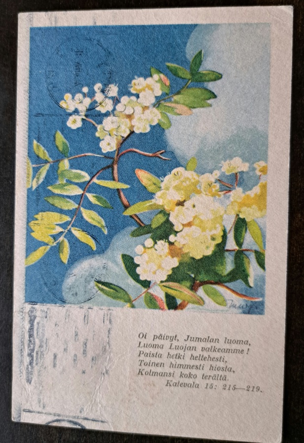 Martta Wendelin: Kalevala-sarja Hy 508 R1, kulkenut 1947