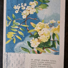Martta Wendelin: Kalevala-sarja Hy 508 R1, kulkenut 1947 - pikkukuva 1