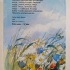 Marjatta Kurenniemi : Pilvipaimen - pikkukuva 2