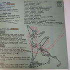Jim Pembroke Pigworm LRLP 103 - pikkukuva 2
