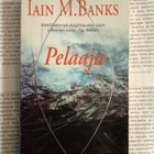 Iain M. Banks - Pelaaja (pokkari) - pikkukuva 1