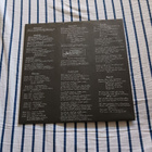 J. Karjalainen Yhtyeineen – Päiväkirja lp 1991 huippukunto - pikkukuva 3