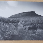 Kilpisjärvi, Saana, SMY nro 1313, p. 1950, Tubi-, SPR-merkit - pikkukuva 1