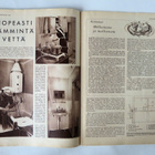 KOTILIESI lehti 1956 N:o 19 - pikkukuva 2