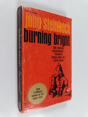 John Steinbeck : Burning bright