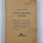 Quentin Patrick : Kasvot salaman valossa - pikkukuva 2