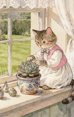 Kissalla hoitaa viherkasvia