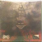 THE SHADOW ORDER - UNTOLD - GATEFOLD GER 2008 M-/M- LP - pikkukuva 2