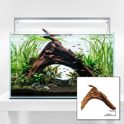 Uniikki akvaariojuurakko 55 cm | P342623